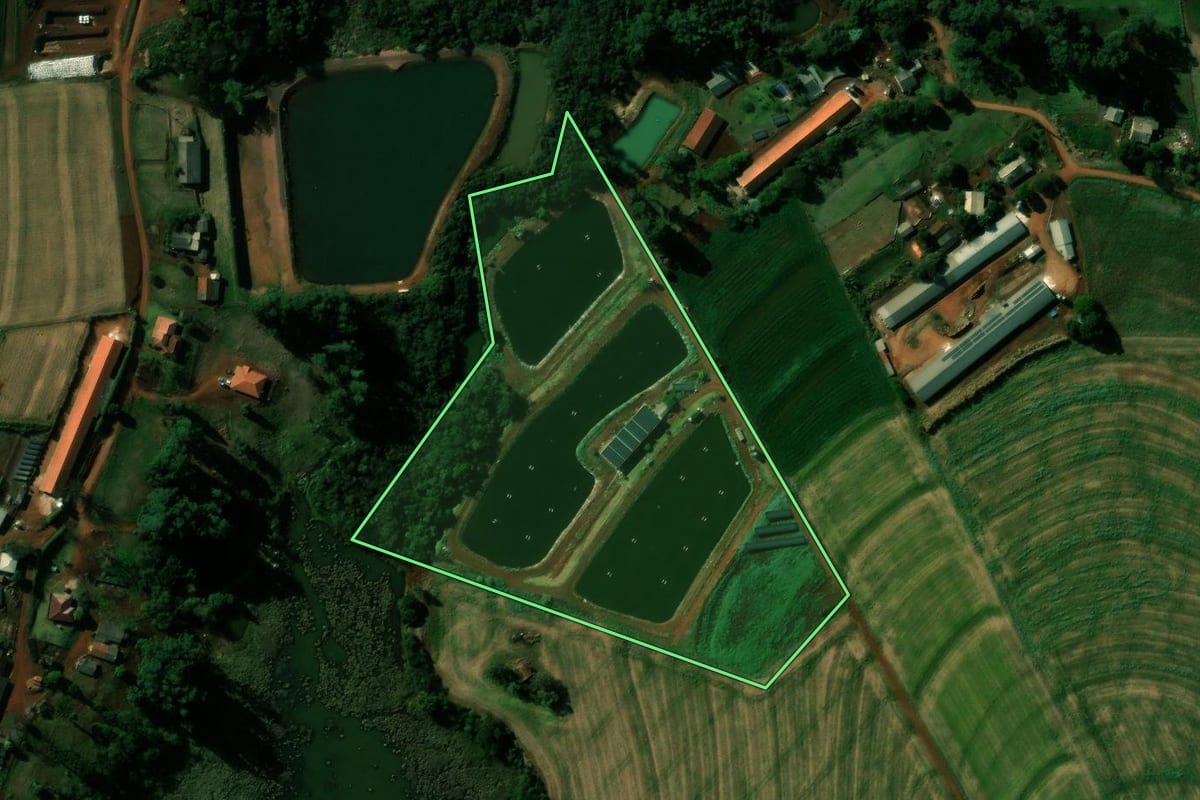 Imagem de satélite do imóvel rural em Cafelândia (PR), com o contorno declarado no CAR desenhado por cima.
