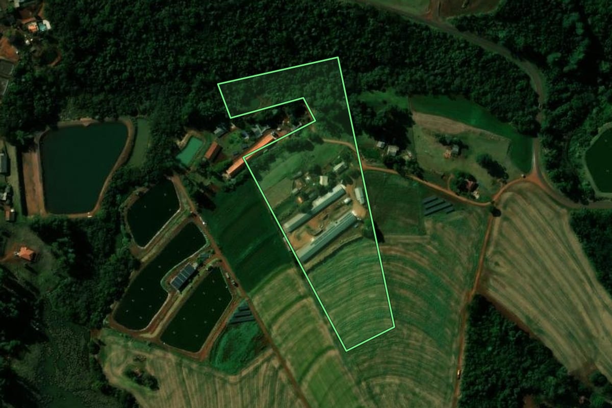 Imagem de satélite do imóvel rural em Cafelândia (PR), com o contorno declarado no CAR desenhado por cima.