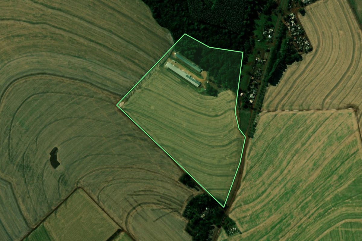 Imagem de satélite do imóvel rural em Cafelândia (PR), com o contorno declarado no CAR desenhado por cima.
