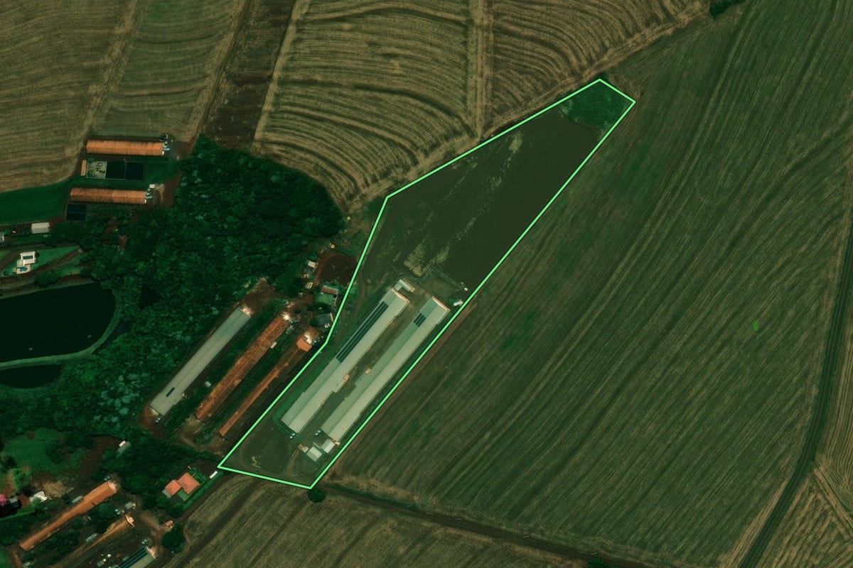 Imagem de satélite do imóvel rural em Cafelândia (PR), com o contorno declarado no CAR desenhado por cima.