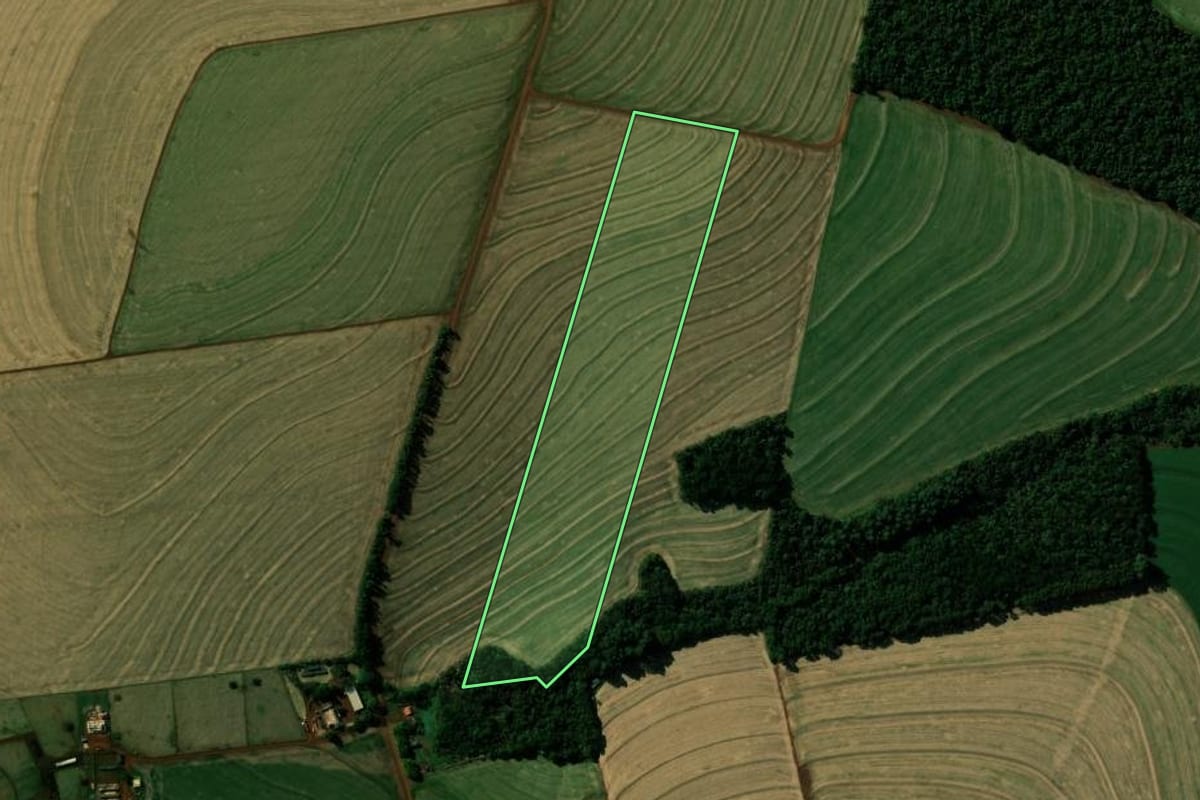 Imagem de satélite do imóvel rural em Cafelândia (PR), com o contorno declarado no CAR desenhado por cima.
