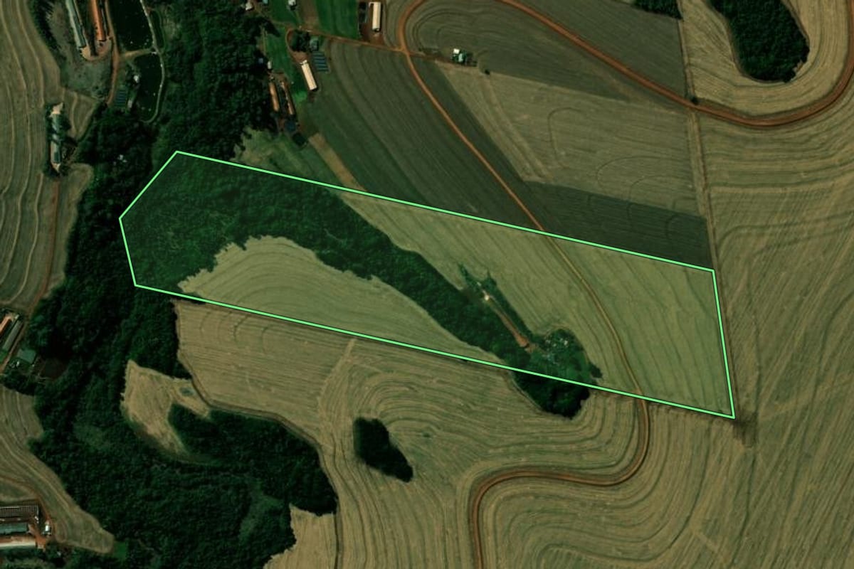 Imagem de satélite do imóvel rural em Cafelândia (PR), com o contorno declarado no CAR desenhado por cima.