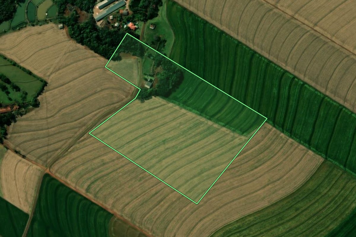Imagem de satélite do imóvel rural em Cafelândia (PR), com o contorno declarado no CAR desenhado por cima.
