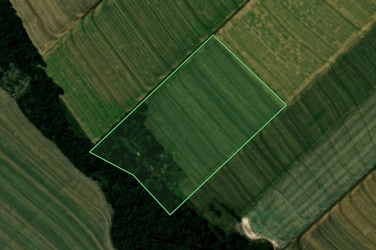Imagem de satélite do imóvel rural em Cafelândia (PR), com o contorno declarado no CAR desenhado por cima.