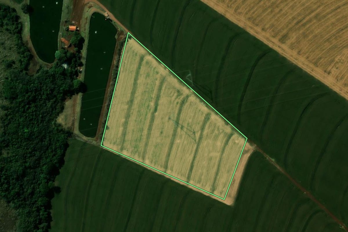Imagem de satélite do imóvel rural em Cafelândia (PR), com o contorno declarado no CAR desenhado por cima.