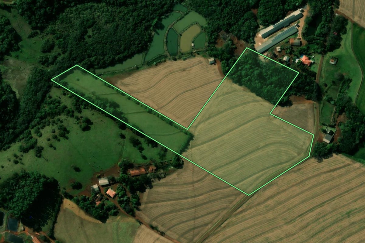 Imagem de satélite do imóvel rural em Cafelândia (PR), com o contorno declarado no CAR desenhado por cima.