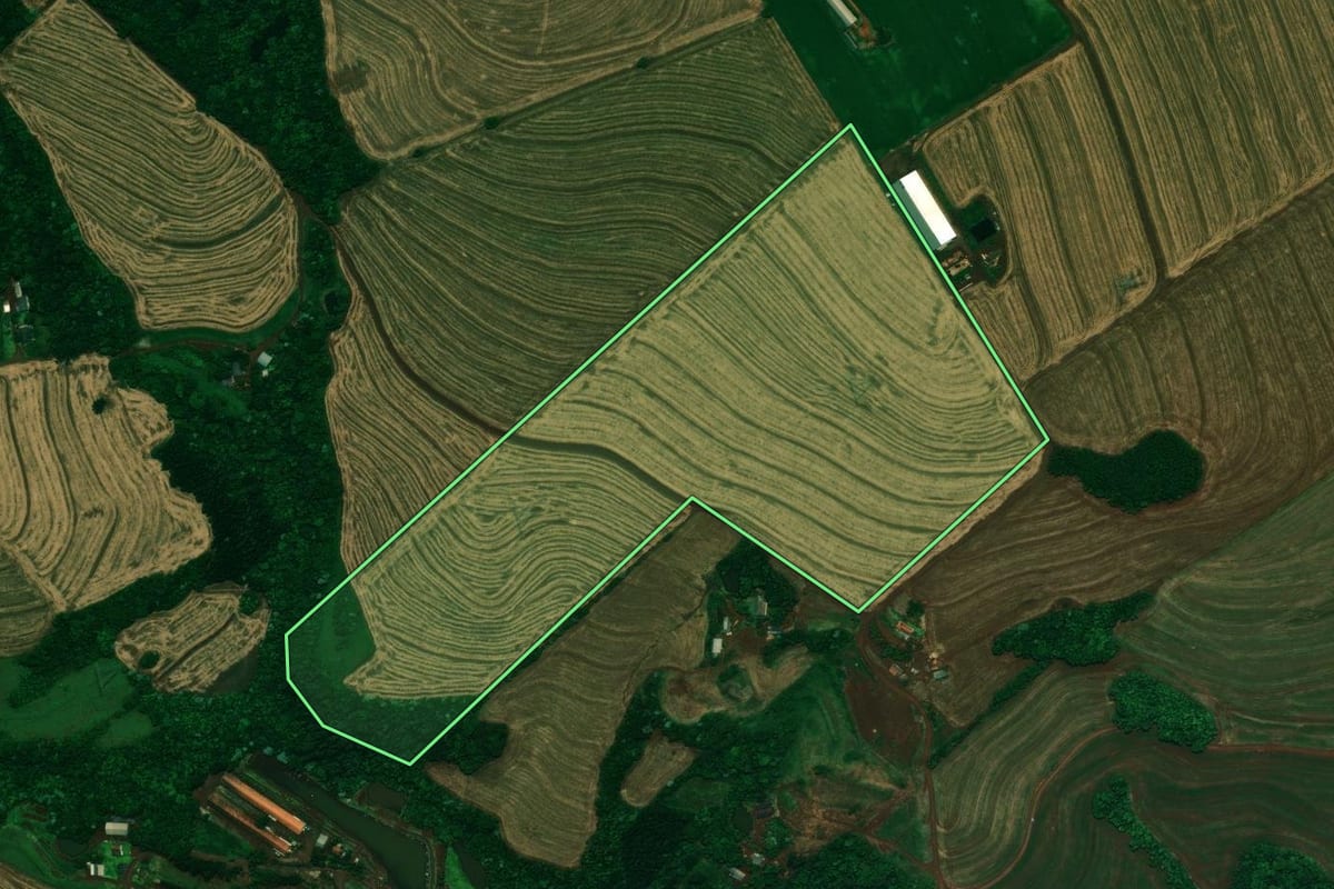 Imagem de satélite do imóvel rural em Cafelândia (PR), com o contorno declarado no CAR desenhado por cima.