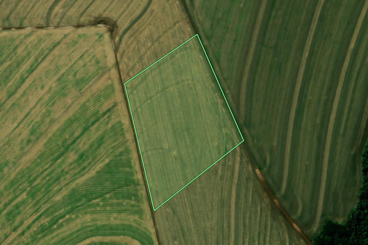 Imagem de satélite do imóvel rural em Cafelândia (PR), com o contorno declarado no CAR desenhado por cima.