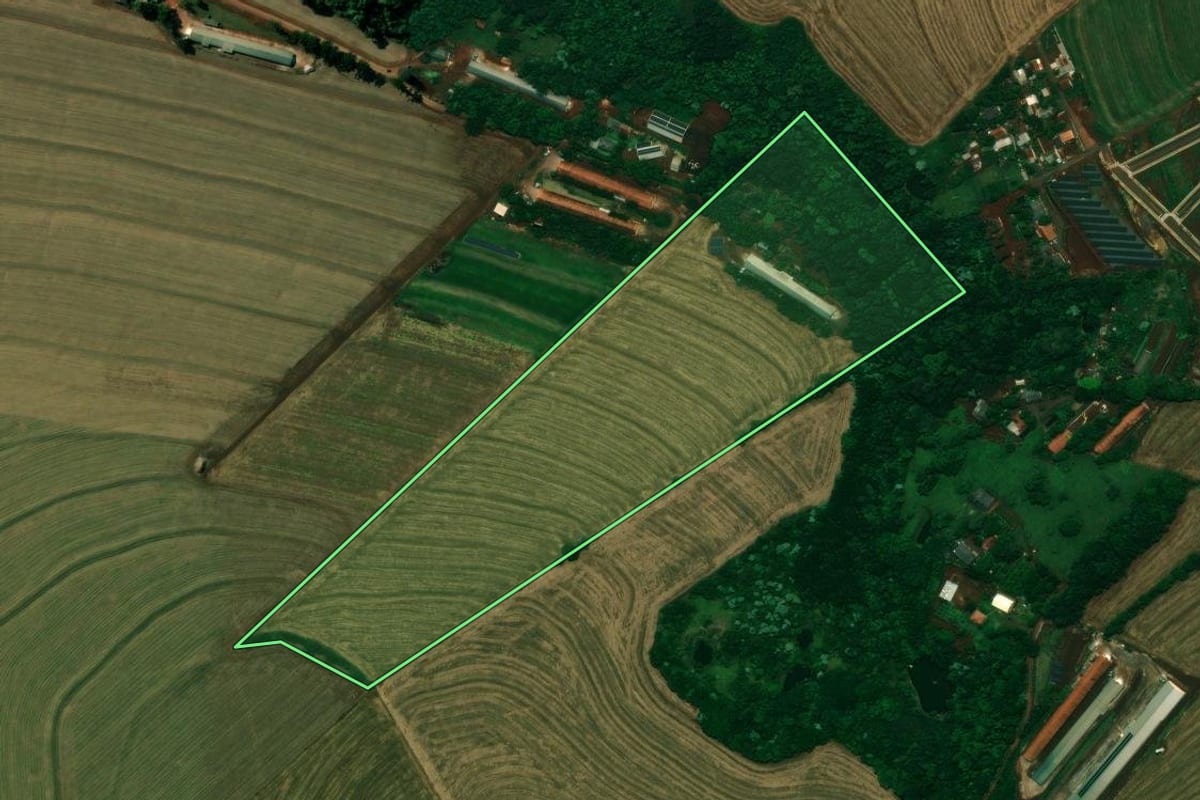 Imagem de satélite do imóvel rural em Cafelândia (PR), com o contorno declarado no CAR desenhado por cima.