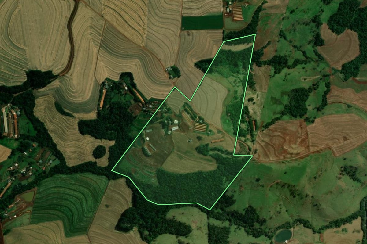 Imagem de satélite do imóvel rural em Cafelândia (PR), com o contorno declarado no CAR desenhado por cima.