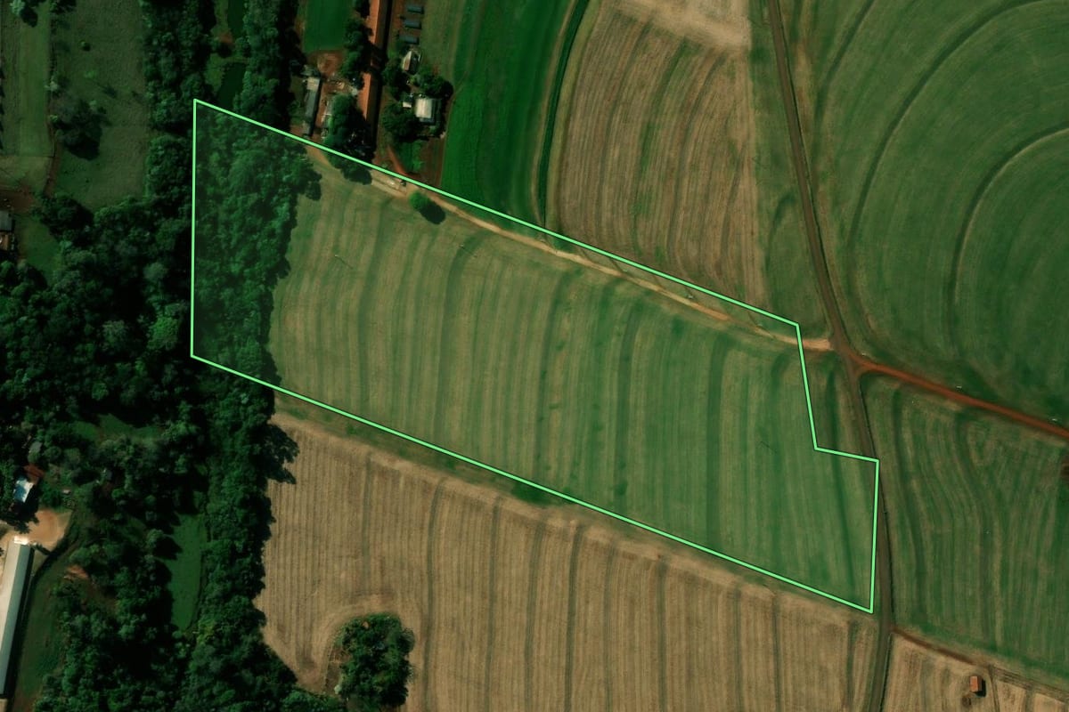 Imagem de satélite do imóvel rural em Cafelândia (PR), com o contorno declarado no CAR desenhado por cima.