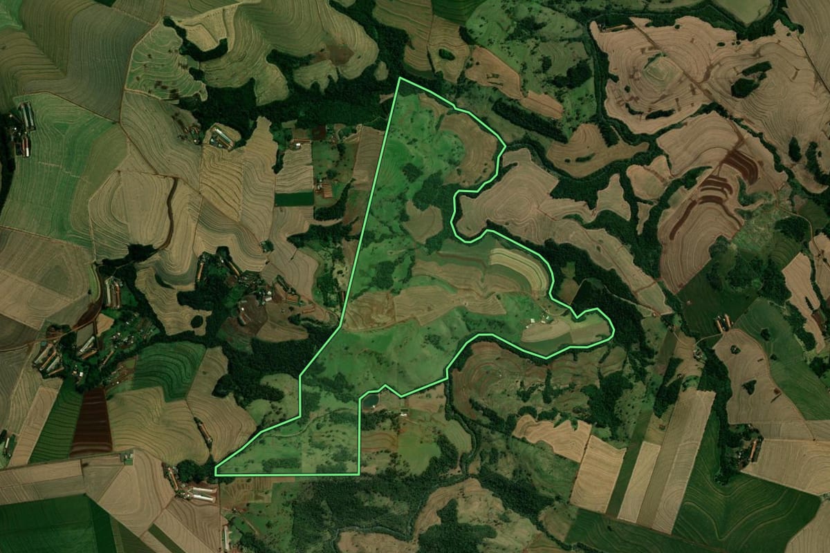 Imagem de satélite do imóvel rural em Cafelândia (PR), com o contorno declarado no CAR desenhado por cima.