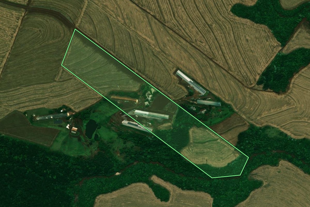 Imagem de satélite do imóvel rural em Cafelândia (PR), com o contorno declarado no CAR desenhado por cima.