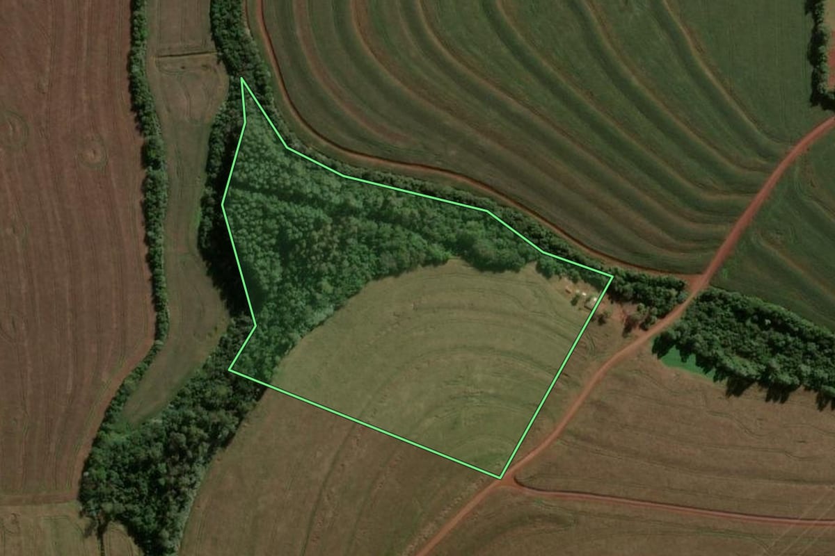 Imagem de satélite do imóvel rural em Cafelândia (PR), com o contorno declarado no CAR desenhado por cima.
