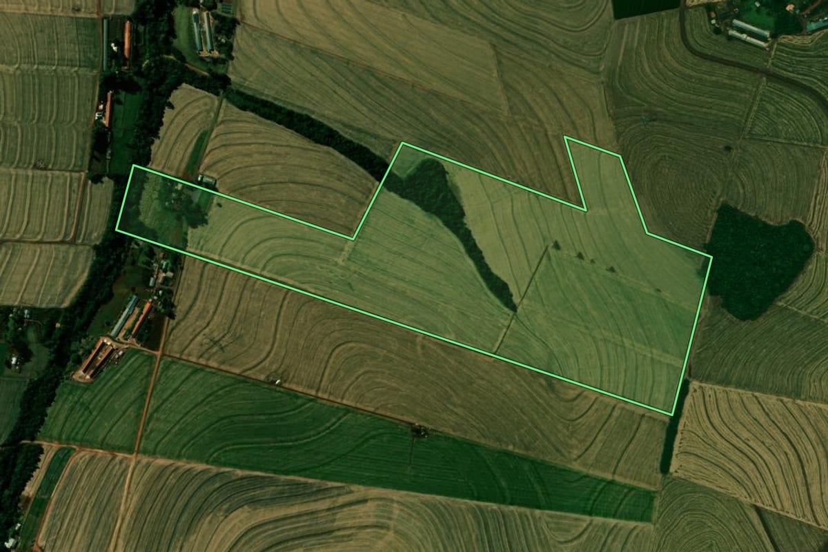 Imagem de satélite do imóvel rural em Cafelândia (PR), com o contorno declarado no CAR desenhado por cima.