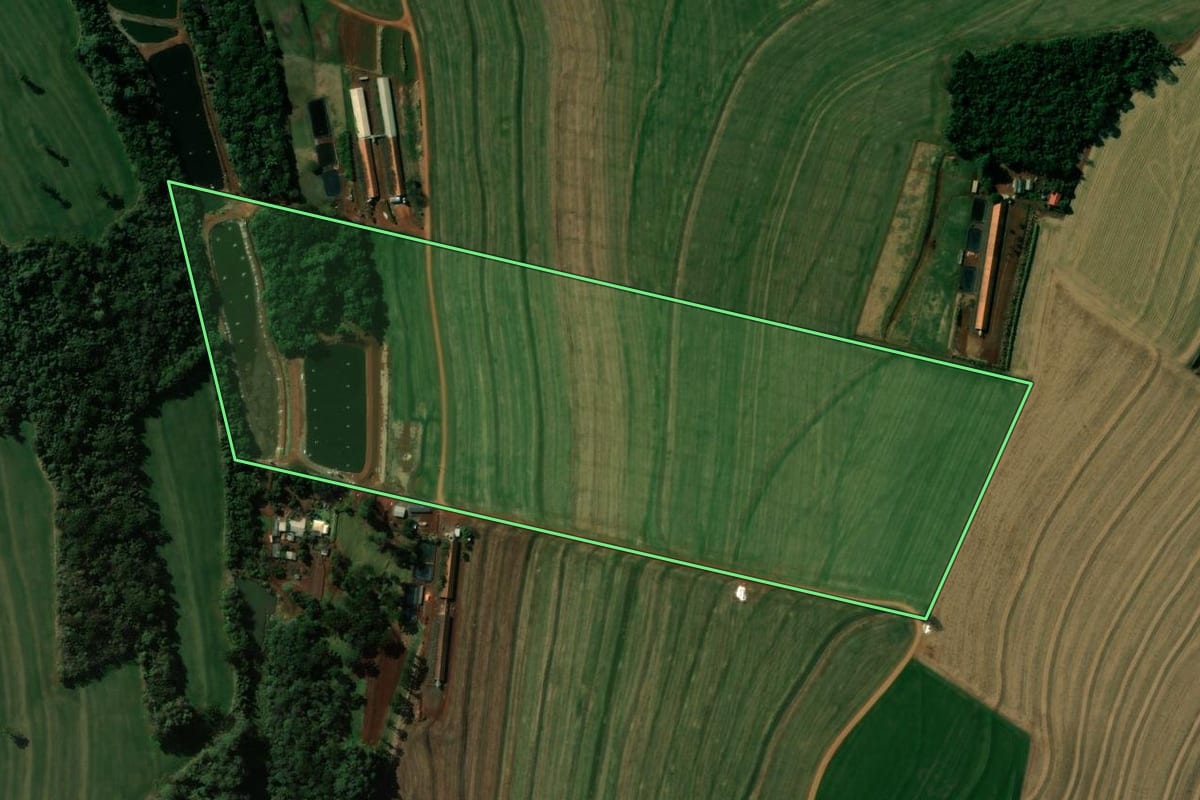 Imagem de satélite do imóvel rural em Cafelândia (PR), com o contorno declarado no CAR desenhado por cima.
