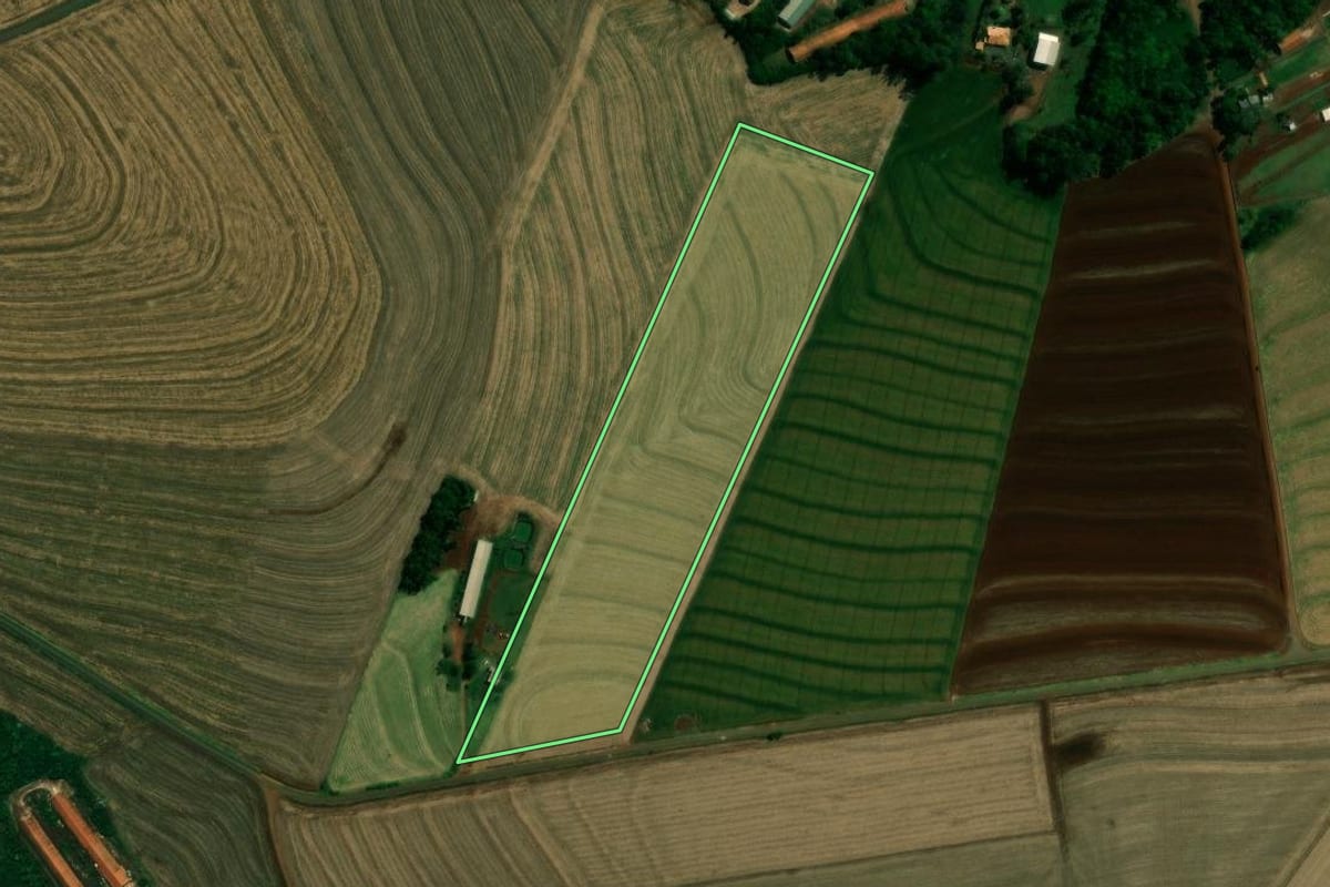 Imagem de satélite do imóvel rural em Cafelândia (PR), com o contorno declarado no CAR desenhado por cima.