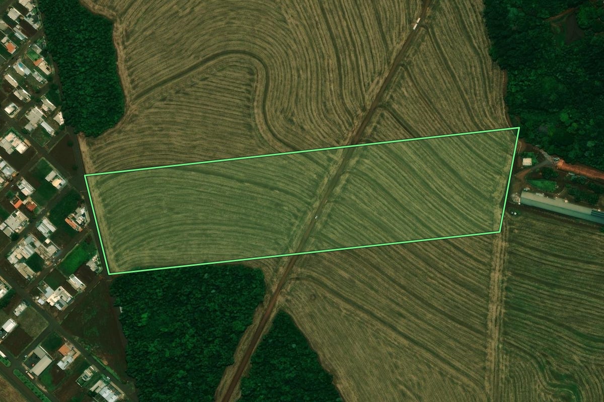 Imagem de satélite do imóvel rural em Cafelândia (PR), com o contorno declarado no CAR desenhado por cima.
