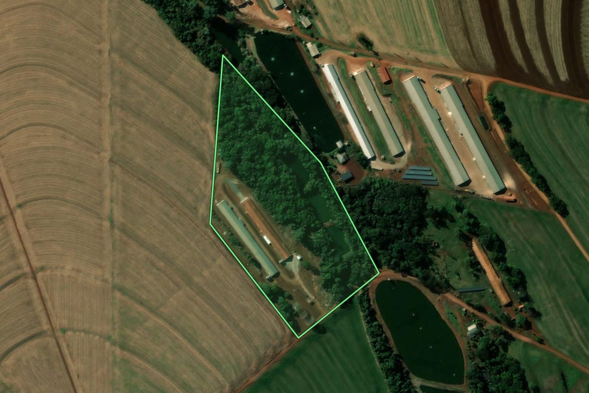 Imagem de satélite do imóvel rural em Cafelândia (PR), com o contorno declarado no CAR desenhado por cima.