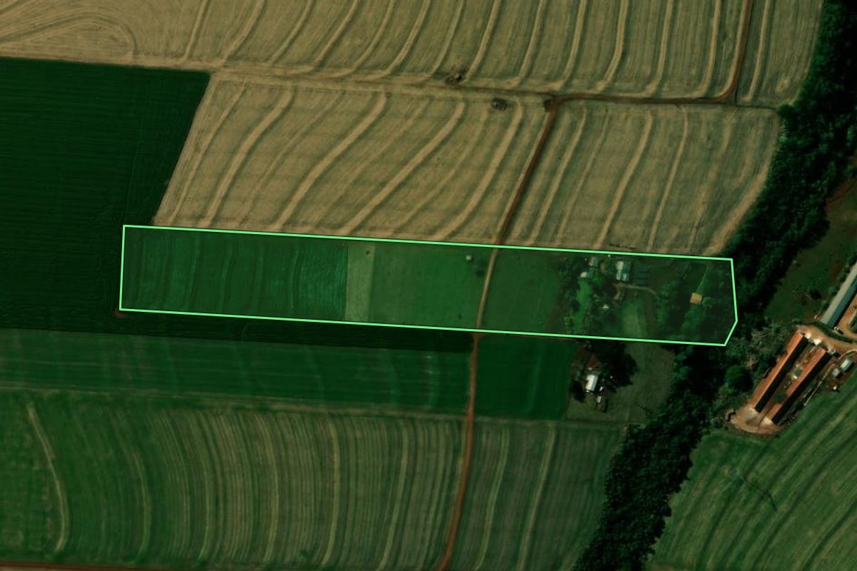 Imagem de satélite do imóvel rural em Cafelândia (PR), com o contorno declarado no CAR desenhado por cima.