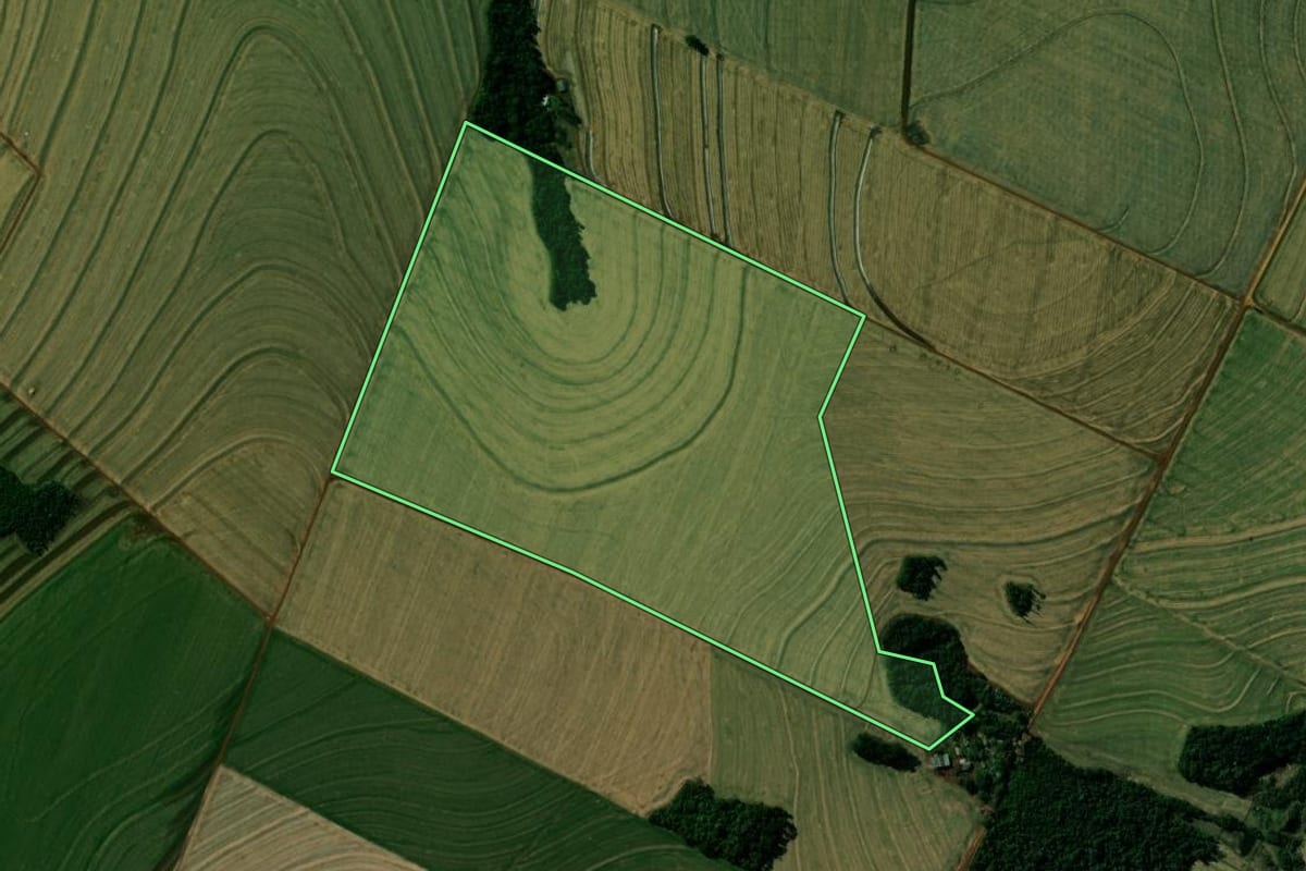 Imagem de satélite do imóvel rural em Cafelândia (PR), com o contorno declarado no CAR desenhado por cima.