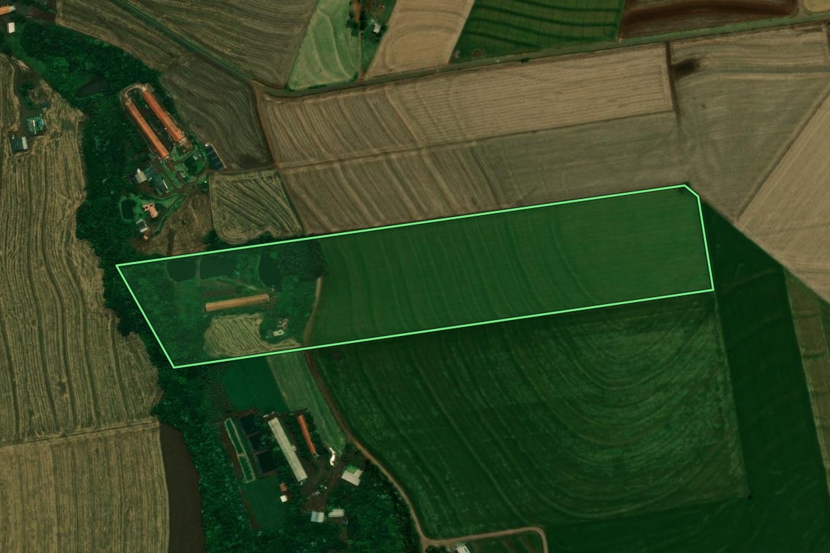Imagem de satélite do imóvel rural em Cafelândia (PR), com o contorno declarado no CAR desenhado por cima.