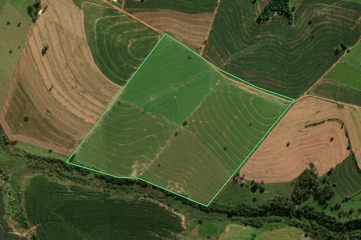 Imagem de satélite do imóvel rural em Cafezal do Sul (PR), com o contorno declarado no CAR desenhado por cima.