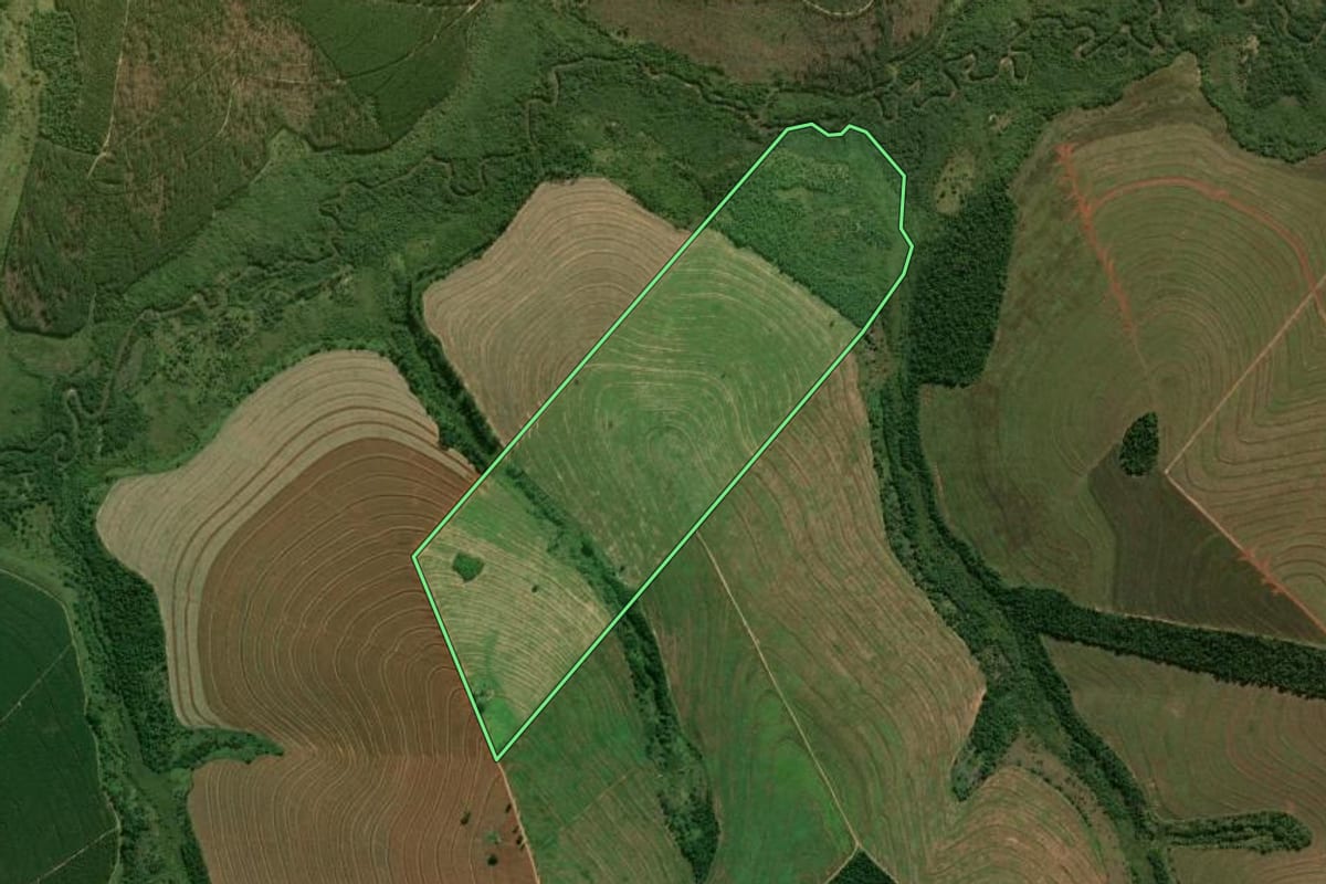Imagem de satélite do imóvel rural em Cafezal do Sul (PR), com o contorno declarado no CAR desenhado por cima.