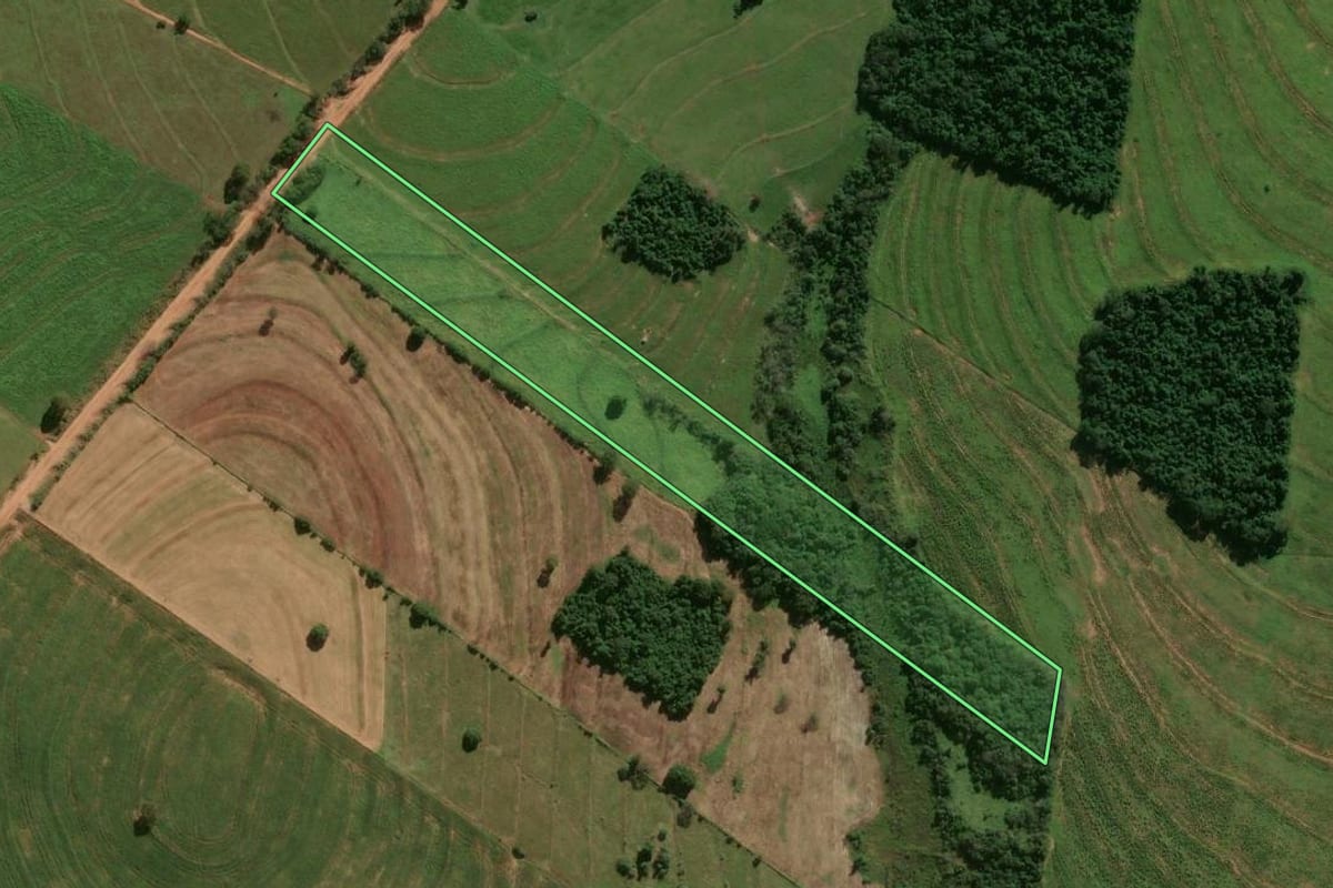 Imagem de satélite do imóvel rural em Cafezal do Sul (PR), com o contorno declarado no CAR desenhado por cima.