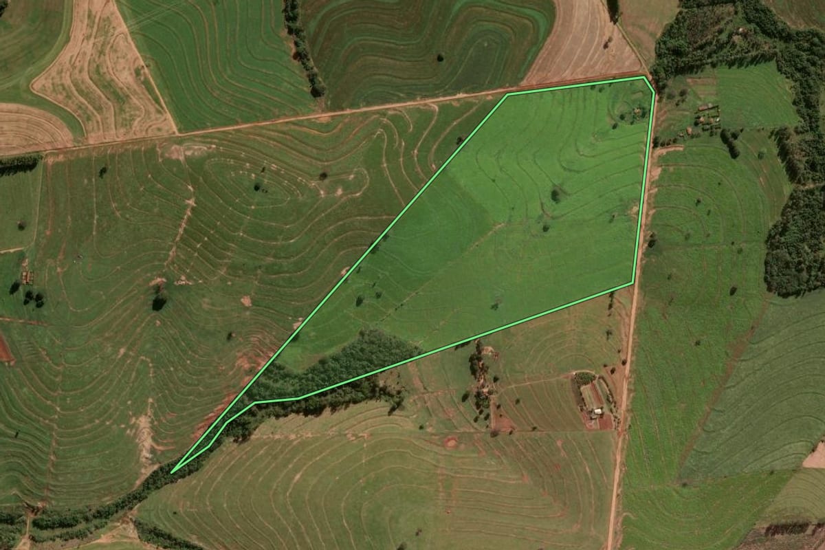 Imagem de satélite do imóvel rural em Cafezal do Sul (PR), com o contorno declarado no CAR desenhado por cima.