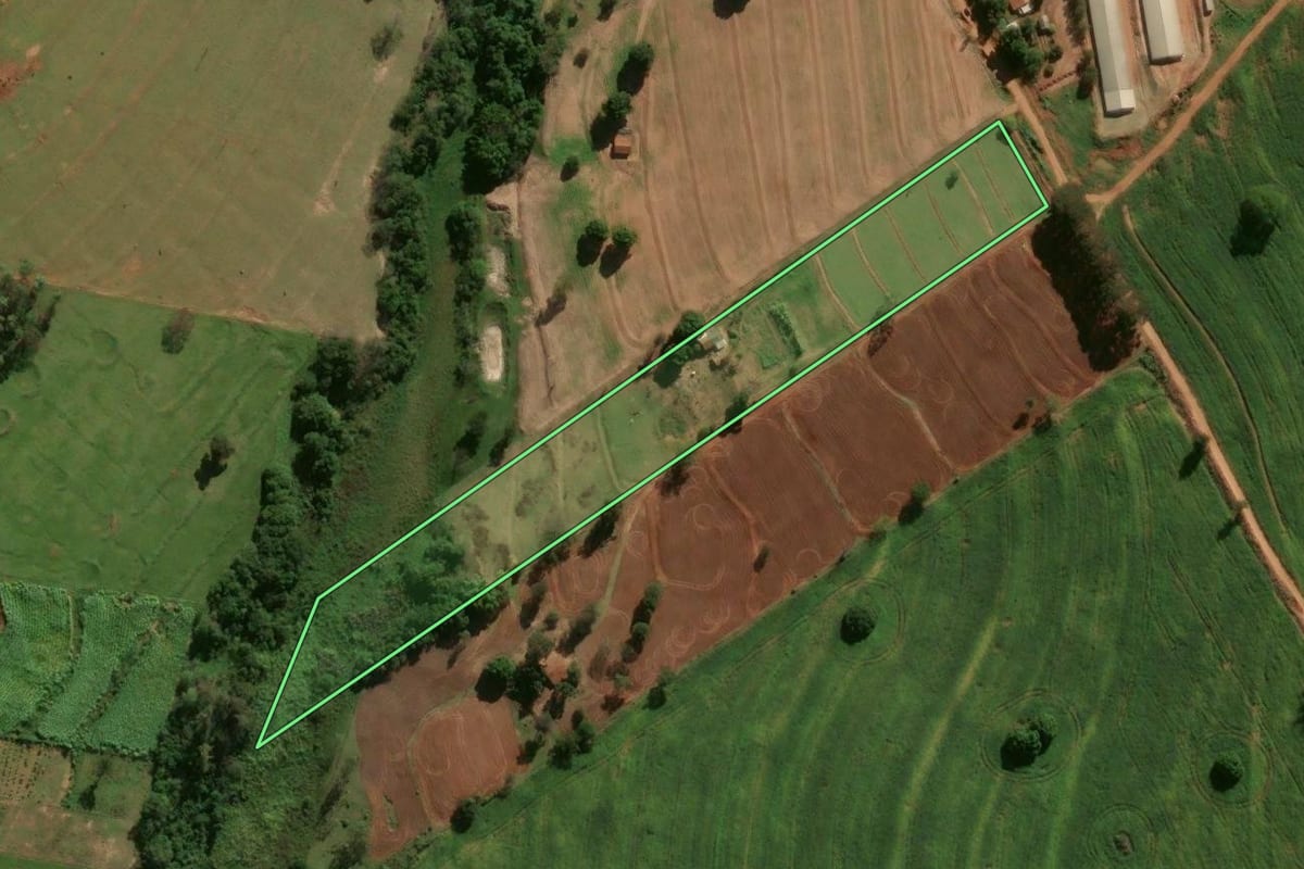 Imagem de satélite do imóvel rural em Cafezal do Sul (PR), com o contorno declarado no CAR desenhado por cima.