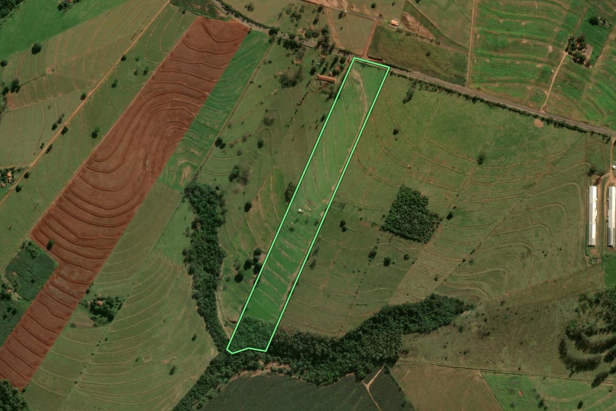 Imagem de satélite do imóvel rural em Cafezal do Sul (PR), com o contorno declarado no CAR desenhado por cima.