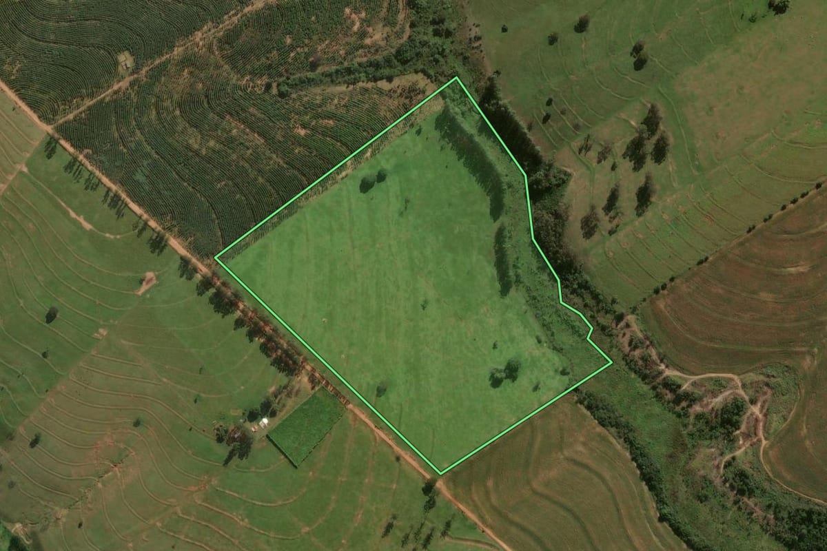 Imagem de satélite do imóvel rural em Cafezal do Sul (PR), com o contorno declarado no CAR desenhado por cima.
