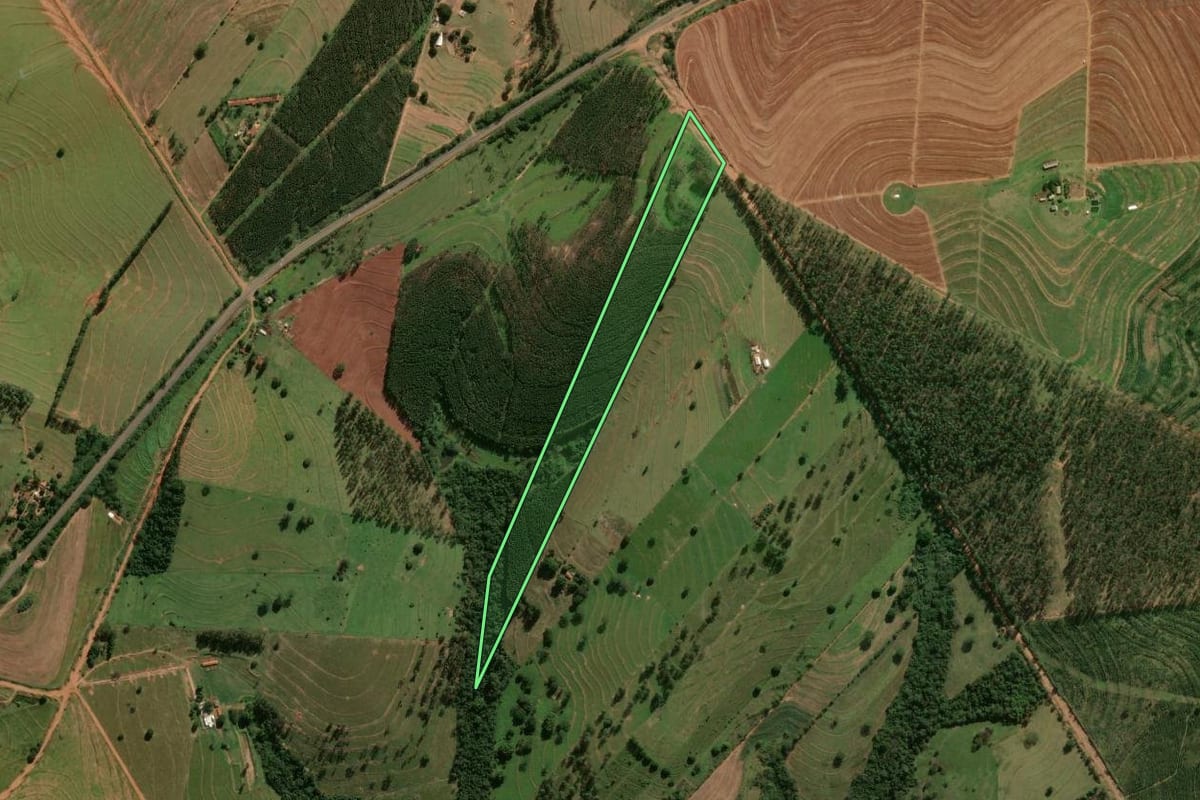 Imagem de satélite do imóvel rural em Cafezal do Sul (PR), com o contorno declarado no CAR desenhado por cima.