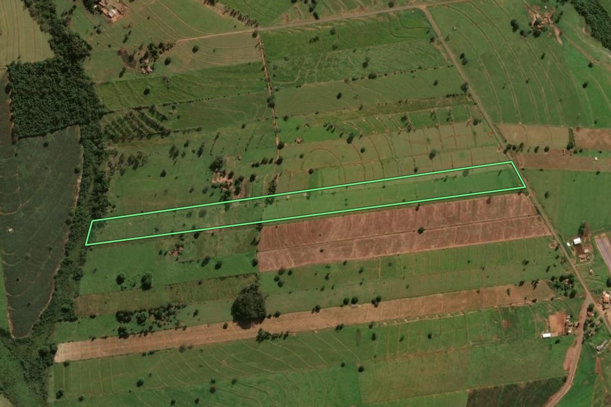 Imagem de satélite do imóvel rural em Cafezal do Sul (PR), com o contorno declarado no CAR desenhado por cima.