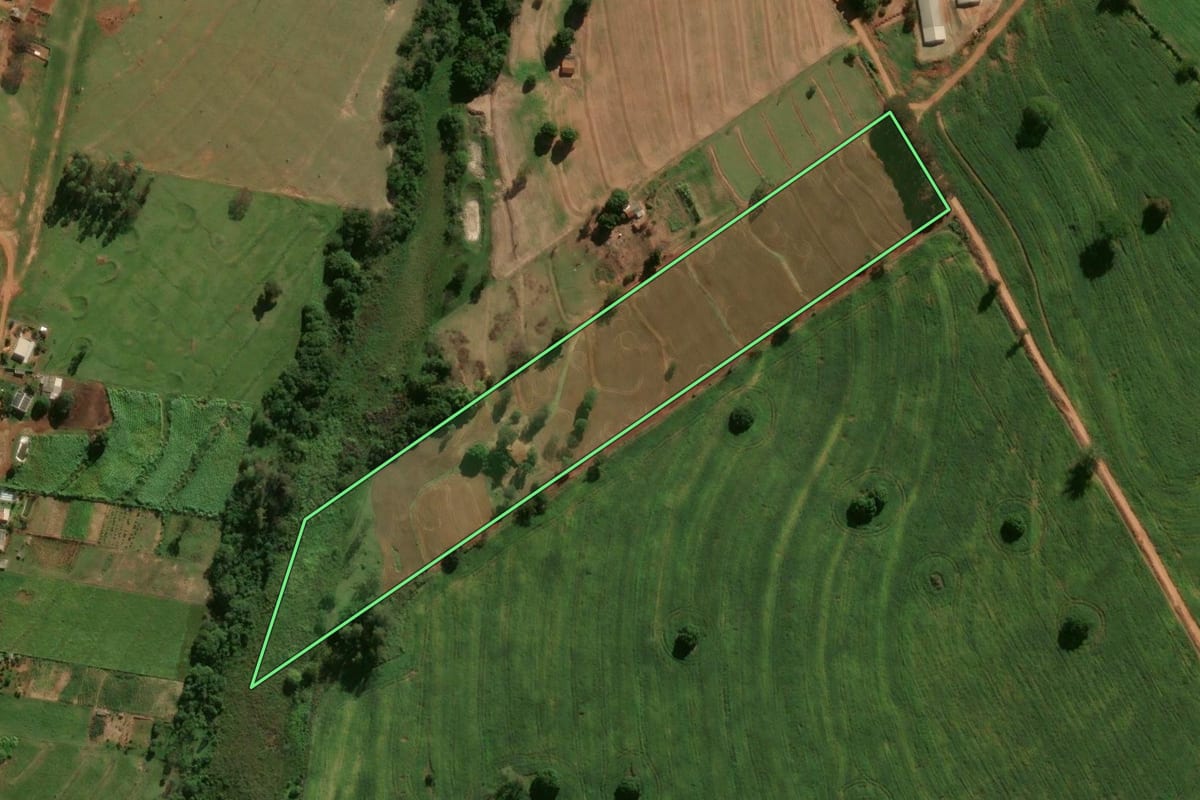 Imagem de satélite do imóvel rural em Cafezal do Sul (PR), com o contorno declarado no CAR desenhado por cima.