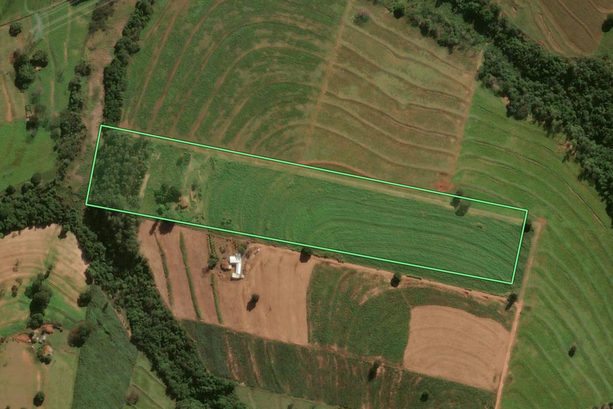 Imagem de satélite do imóvel rural em Cafezal do Sul (PR), com o contorno declarado no CAR desenhado por cima.