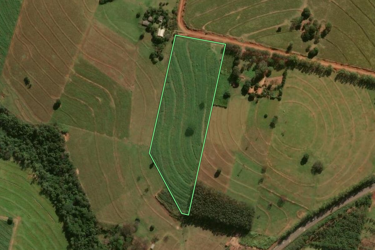 Imagem de satélite do imóvel rural em Cafezal do Sul (PR), com o contorno declarado no CAR desenhado por cima.