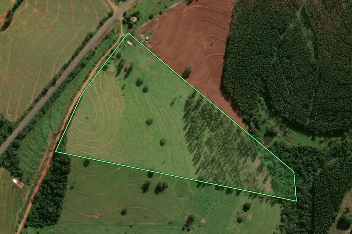 Imagem de satélite do imóvel rural em Cafezal do Sul (PR), com o contorno declarado no CAR desenhado por cima.