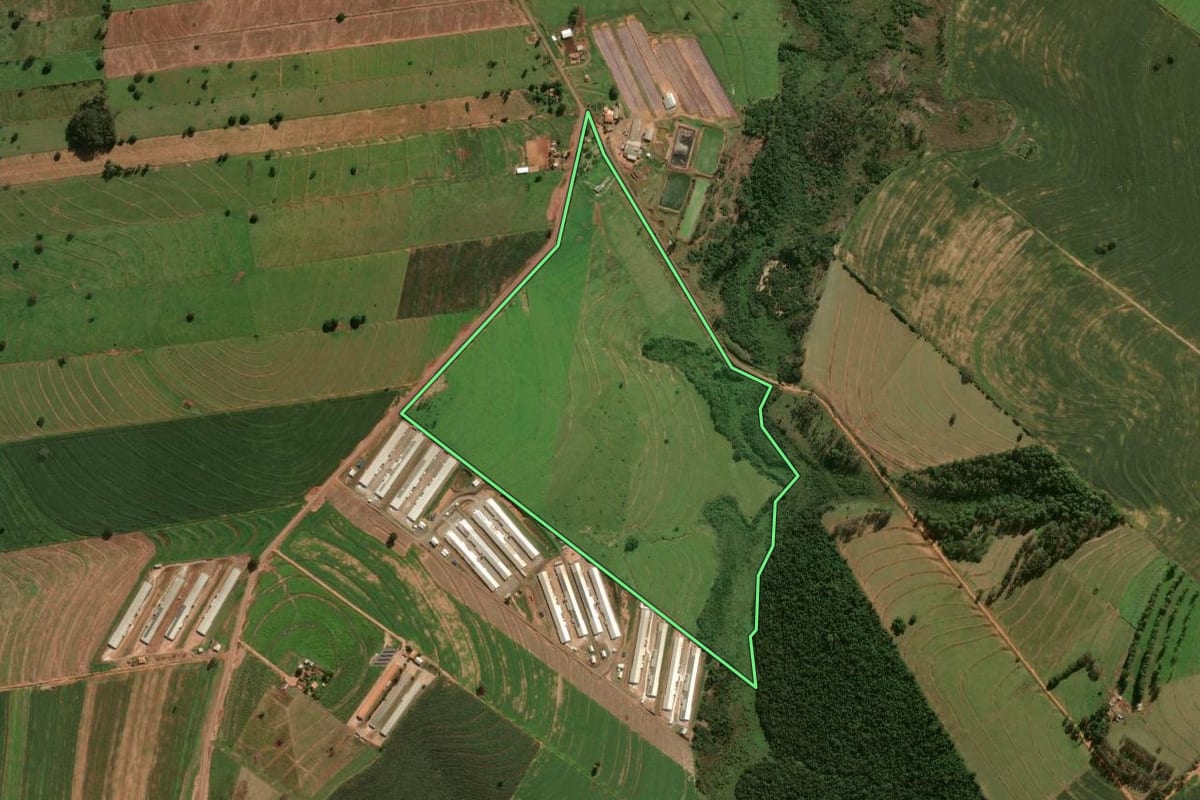 Imagem de satélite do imóvel rural em Cafezal do Sul (PR), com o contorno declarado no CAR desenhado por cima.