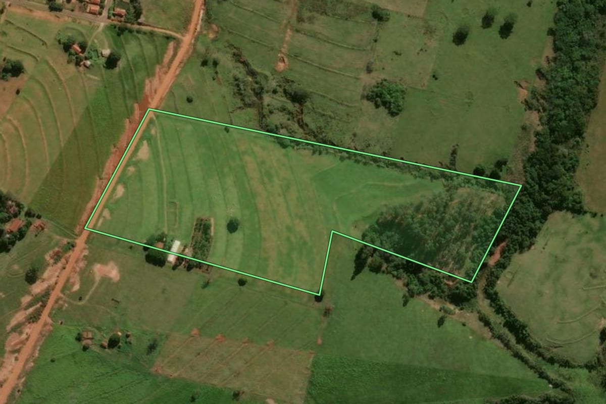 Imagem de satélite do imóvel rural em Cafezal do Sul (PR), com o contorno declarado no CAR desenhado por cima.