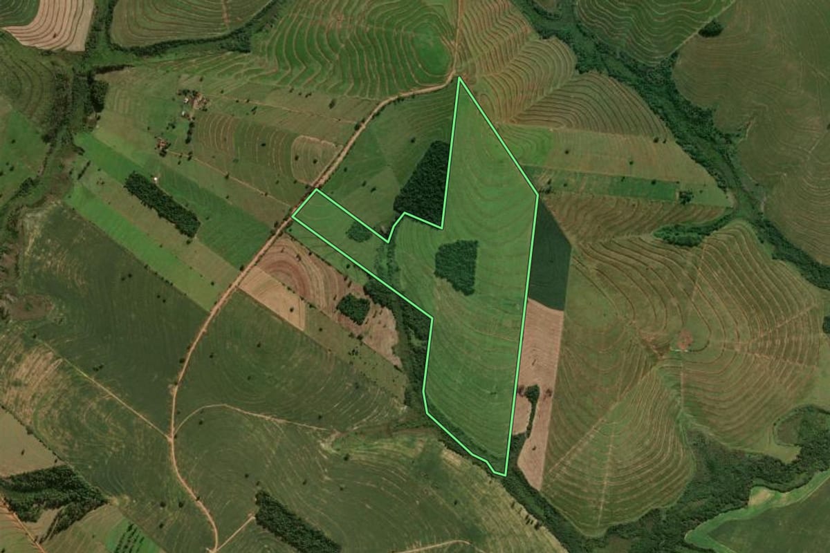 Imagem de satélite do imóvel rural em Cafezal do Sul (PR), com o contorno declarado no CAR desenhado por cima.