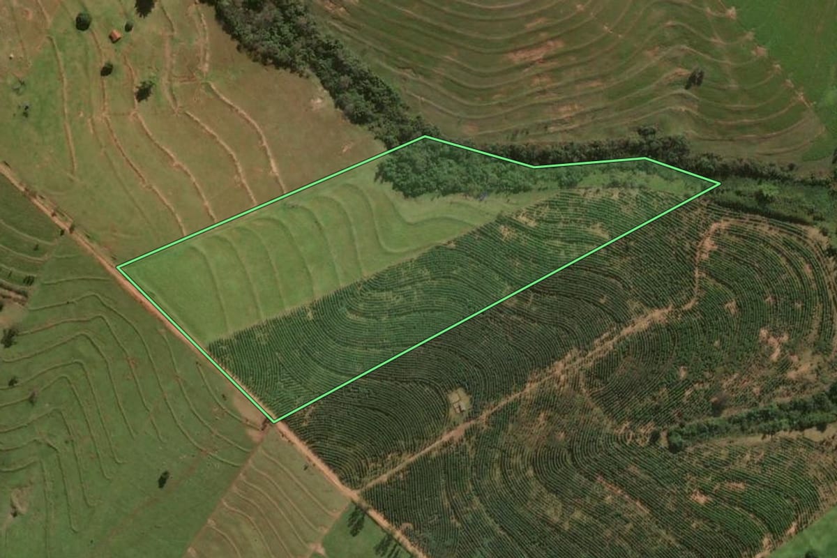 Imagem de satélite do imóvel rural em Cafezal do Sul (PR), com o contorno declarado no CAR desenhado por cima.