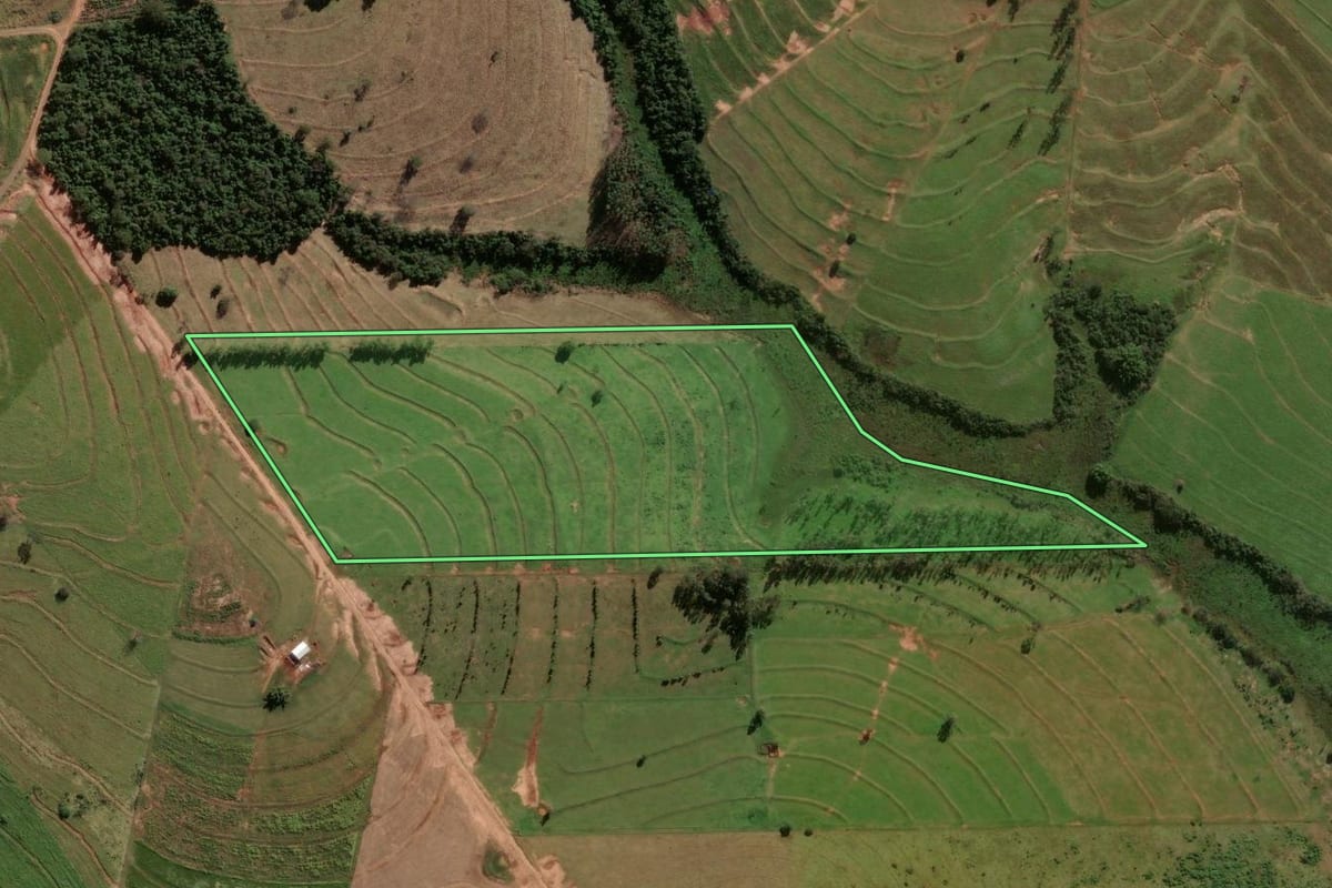 Imagem de satélite do imóvel rural em Cafezal do Sul (PR), com o contorno declarado no CAR desenhado por cima.