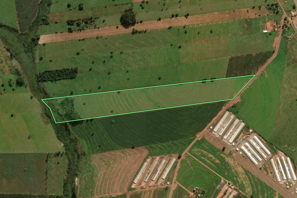 Imagem de satélite do imóvel rural em Cafezal do Sul (PR), com o contorno declarado no CAR desenhado por cima.
