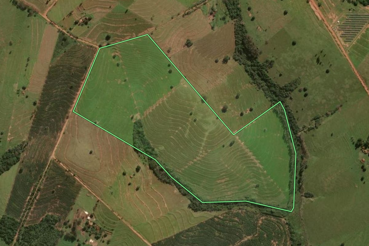 Imagem de satélite do imóvel rural em Cafezal do Sul (PR), com o contorno declarado no CAR desenhado por cima.