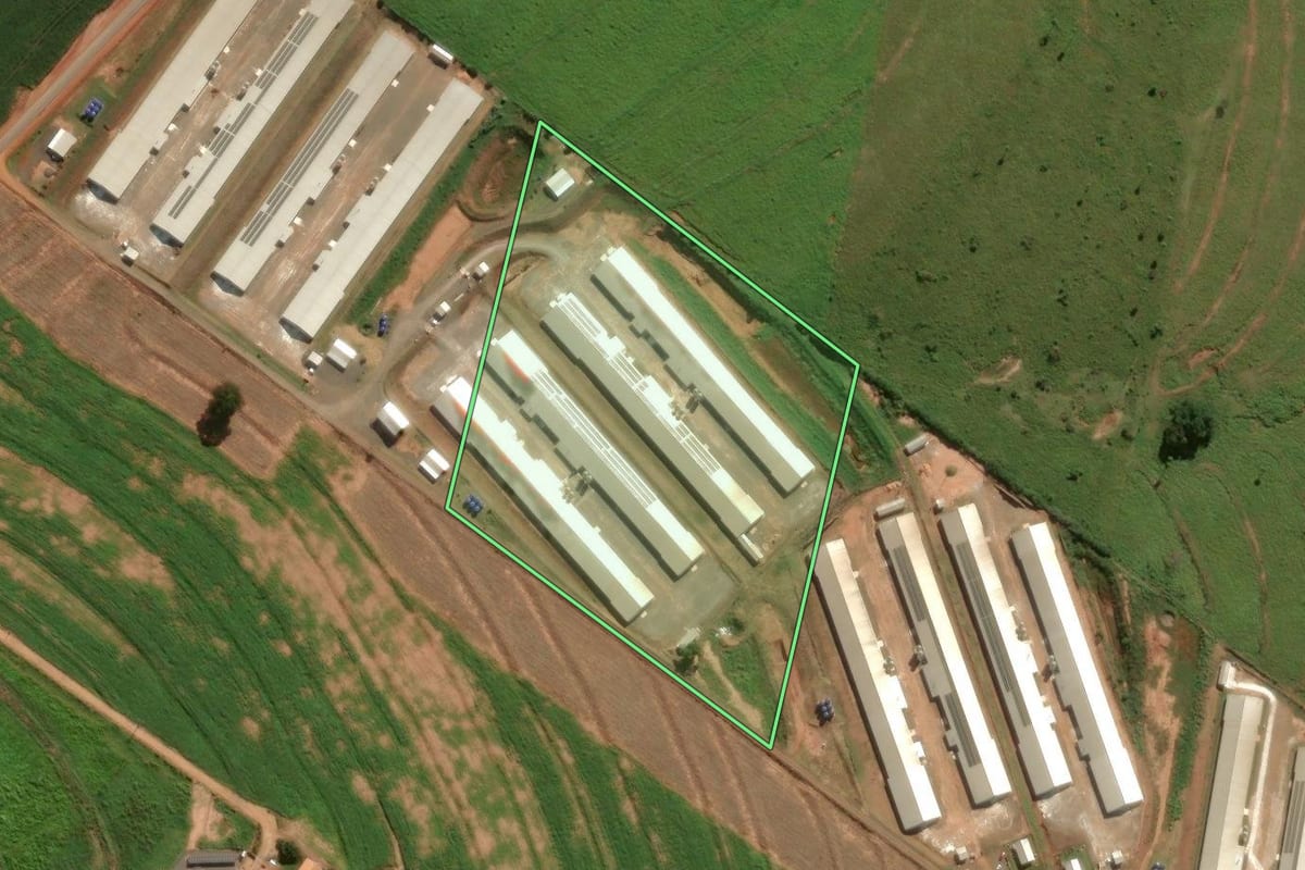 Imagem de satélite do imóvel rural em Cafezal do Sul (PR), com o contorno declarado no CAR desenhado por cima.