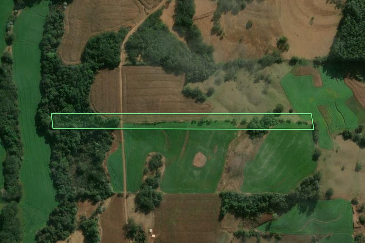 Imagem de satélite do imóvel rural em Califórnia (PR), com o contorno declarado no CAR desenhado por cima.
