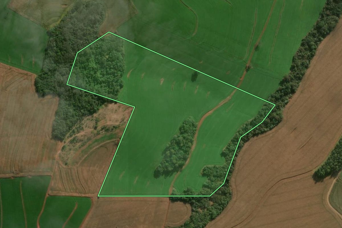 Imagem de satélite do imóvel rural em Califórnia (PR), com o contorno declarado no CAR desenhado por cima.