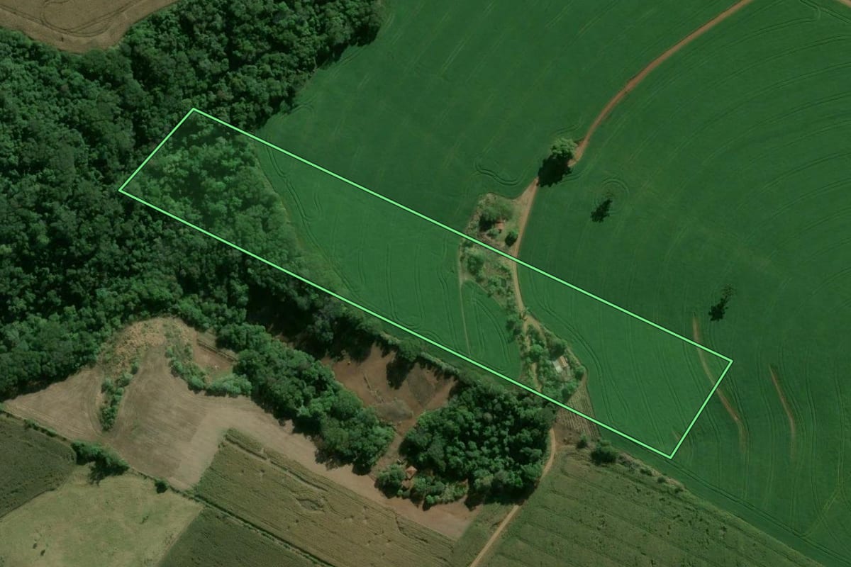 Imagem de satélite do imóvel rural em Califórnia (PR), com o contorno declarado no CAR desenhado por cima.